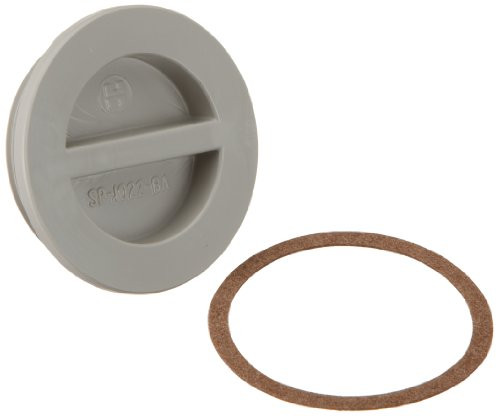 Hayward SP1022BGR 1-1 2-Inch Gray MPT Flush Plug with Gasket