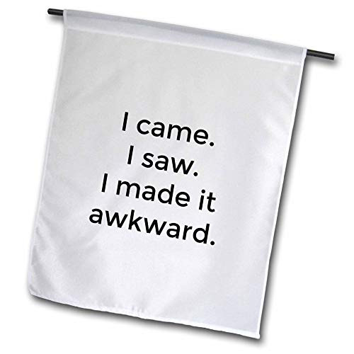 3dRose Gabriella B - Quote - Image of I Came I Saw I Made It Awkward Quote - 12 x 18 inch Garden Flag  fl_303622_1