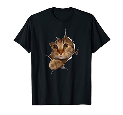 Sweet Kitten Torn Cloth - Funny Cat Lover Cat Owner Cat Lady T-Shirt Sweet Kitten Torn Cloth - Funny Cat Lover Cat Owner Cat Lady T-Shirt