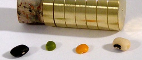 Magic Makers PeaCan Trick Kit