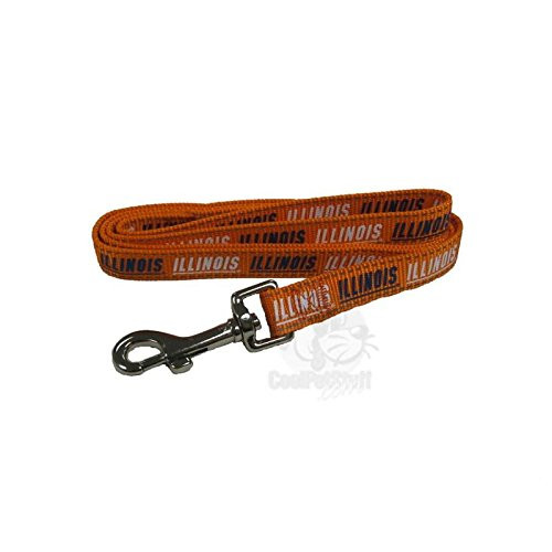 Illinois Fighting Illini Pet Reflective Nylon Leash - Medium