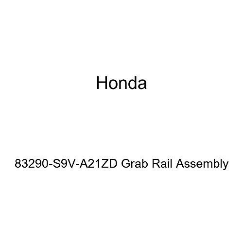 Honda Genuine 83290-S9V-A21ZD Grab Rail Assembly