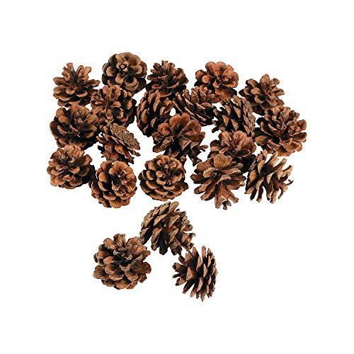 Fun Express Bulk Ba of Real Pinecones - Bulk Set of 24 Natural Pine Cones - Crafts Supplies Fun Express Bulk Ba of Real Pinecones - Bulk Set of 24 Natural Pine Cones - Crafts Supplies