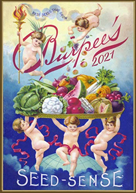 Pixiluv 2021 Wall Calendar  12 pages 8 inch x11 inch   Veges Seeds Pockets Garden Vintage Image Seed Pocket Poster Pixiluv 2021 Wall Calendar  12 pages 8 inch x11 inch   Veges Seeds Pockets Garden Vintage Image Seed Pocket Poster