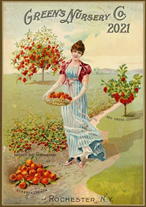 Pixiluv 2021 Wall Calendar  12 pages 8 inch x11 inch   Fruits and Veges Garden Vintage Seed Pocket Poster Pixiluv 2021 Wall Calendar  12 pages 8 inch x11 inch   Fruits and Veges Garden Vintage Seed Pocket Poster