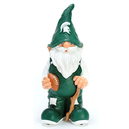 Michigan State 2008 Team Gnome