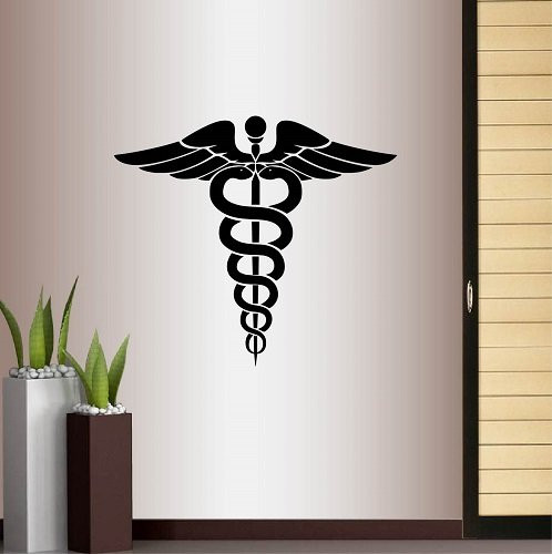 In-Style Decals Wall Vinyl Decal Home Decor Art Sticker Caduceus Medical Hippocratic Symbol Snake Room Removable Stylish Mural Unique Design 517