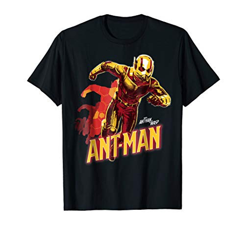 Marvel Ant-Man  and  The Wasp Transformation Graphic T-Shirt
