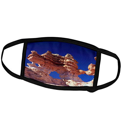 3dRose Bryce Canyon NP Arches Hoodoos Utah - US45 SSM0374 - Scott T. - Face Covers fc_94976_3 3dRose Bryce Canyon NP Arches Hoodoos Utah - US45 SSM0374 - Scott T. - Face Covers fc_94976_3