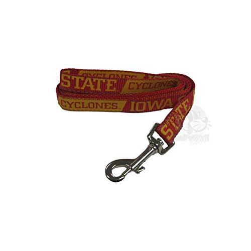 Iowa State Cyclones Pet Reflective Nylon Leash - Large