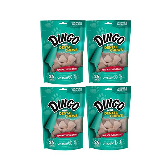 Dingo Mini Dental Dog Chews for Small Dogs 24-Count - 4 Pack