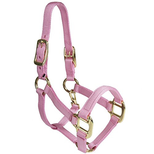 Intrepid International Nylon Miniature Horse Halter Pink Large