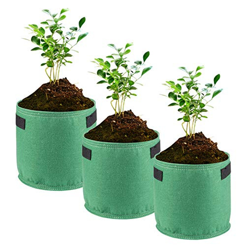 BELUPAID 3 Pack 10 Gallon Plant Grow Bags Heavy Duty Thickened Double Layer Potato Grow Planter Nonwoven Aeration Fabric Pots Garden Planting Bags for Tomato Carrots Onions Herbs BELUPAID 3 Pack 10 Gallon Plant Grow Bags Heavy Duty Thickened Double Layer Potato Grow Planter Nonwoven Aeration Fabric Pots Garden Planting Bags for Tomato Carrots Onions Herbs