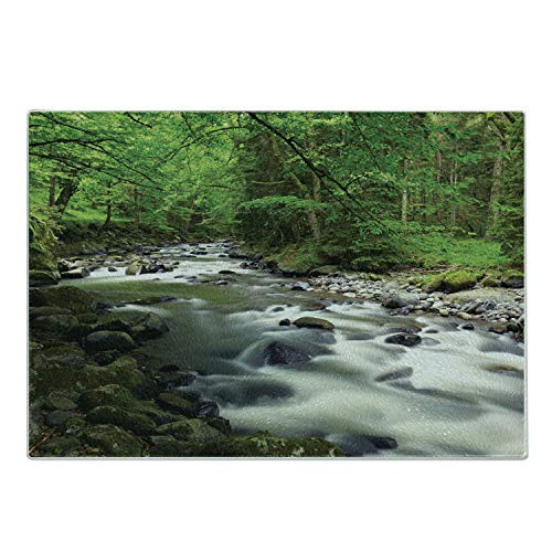 Ambesonne Forest Cutting Board Rushing Riverbed with Rocks Trees Mountain Branches Shrubs Nature Scenery Decorative Tempered Glass Cutting and Serving Board Small Size Green Gray White
