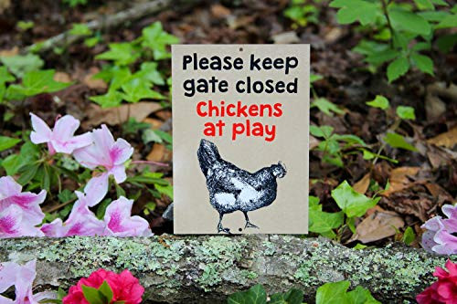 Monsety Yard Fence Garage Decorative Sign Weather Resistant Please Keep Gate Closed Chickens at Play Backyard Farming Sign Safety Sign Metal Pet Sign Gift 12 inch x16 inch   30x40cm