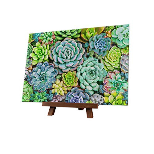 Pintoo - P1432 - Succulent Wall - 368 Piece Mini Plastic Puzzle