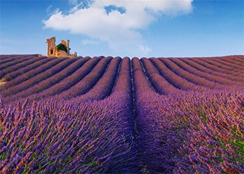 Leowefowa 7X5FT Lavender Field Backdrop Nature Landscape Romantic Garden Blue Sky White Cloud Wedding Vinyl Photography Background Kids Children Adults Photo Studio Props