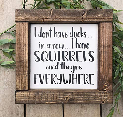 I dont have ducks in a row I have squirrels and theyre everywhere Sign