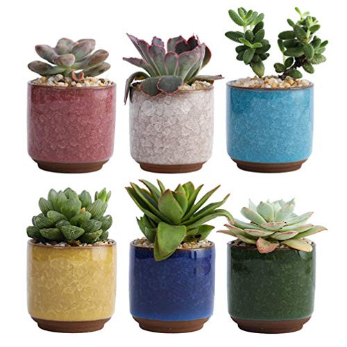 YARNOW 6pcs Ceramic Succulent Planter Pot Cute Flower Planter with Drainage Hole Mini Plant Containers for Bonsai Succulent Cactus  Without Plant