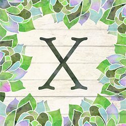 Carson"X" Square House Coaster Set
