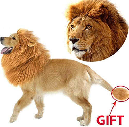 Dog Lion Mane Pet Dog Costume Pet Wigs for Dogs Fancy Lion Hair Pet Dog Lion Mane Wig for Parties Adjustable Pet Lion Mane for Medium to Large Sized Dog with Ears and Tail Dog Lion Mane Pet Dog Costume Pet Wigs for Dogs Fancy Lion Hair Pet Dog Lion Mane Wig for Parties Adjustable Pet Lion Mane for Medium to Large Sized Dog with Ears and Tail