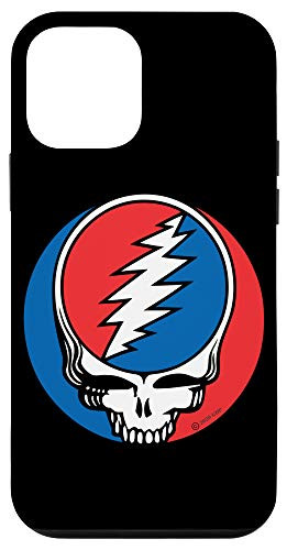 iPhone 12 mini Steal Your Face - Not Fade Away Grateful Tortuga Apparel Case