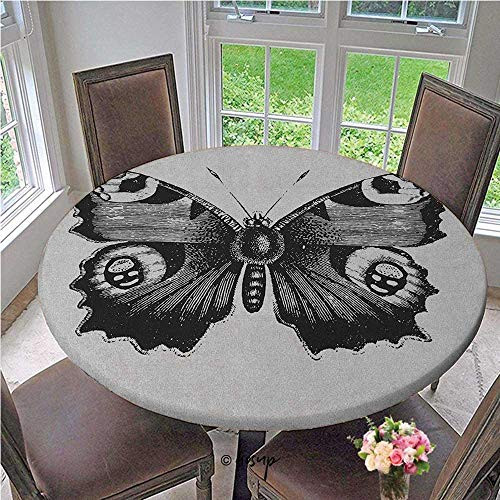 Elasticized Tablecloth Vanessa Peacock Butterfly Vintage Style Wildlife Theme Nature Artwork Spill-Proof Water Repellent Table Cover No Fabric Draping Down for Puppy to Grab White Diameter - 31 Inch