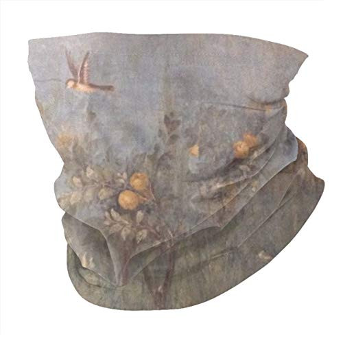 Roupaze Adult Neck Warmer Gaiters Bandana Garden Tree Birds 1 Balaclava Scarf Cap Hairband with Inner Pocket 2 Pcs Black