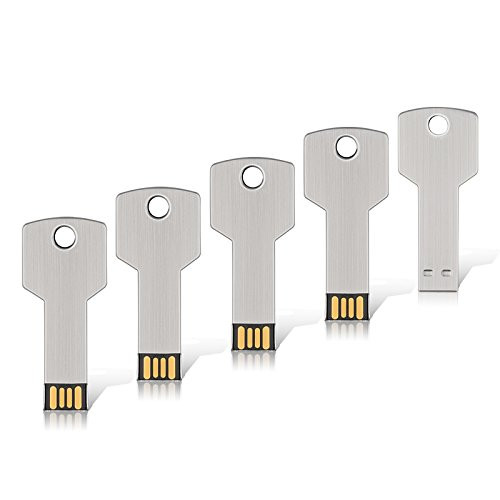RAOYI 5Pcs 16GB USB Flash Drive Metal Key Shaped USB Stick Memory Stick Thumb Drive 16G, USB 2.0 Sliver
