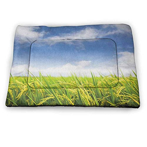DayDayFun Plant Cute Pet Mat Cultivated Farm Paddy Rice Field Agriculture Food Countryside Pet Mats for Food and Water Sky Blue Green 21 inch x14 inch