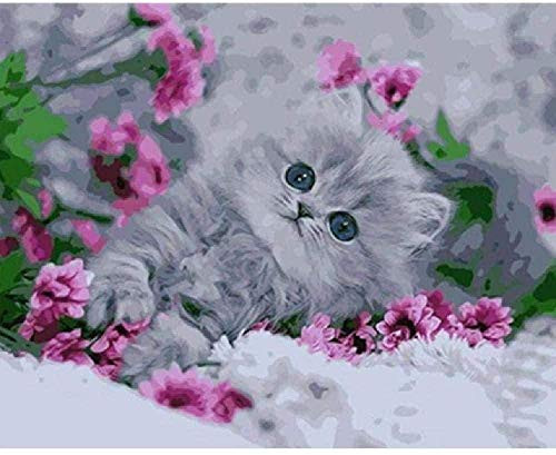 N H DIY Adult Digital kit Childrens Painting Beginner Canvas Home Decoration with Digital Painting Cute Kitten