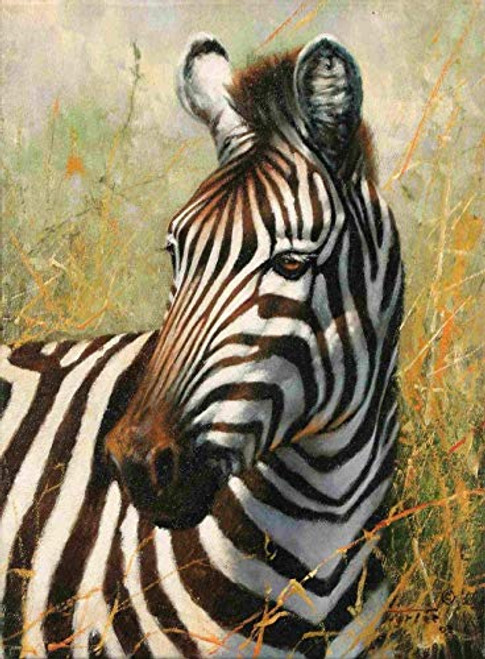 N H DIY Black and White Zebra Animal Numbering Painting Kit Acrylic Painting Kit for Children and Adult Beginners