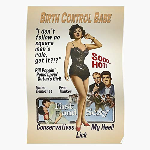 Curlycat Poster Birth Control Babe Impressive and Trendy Poster Print Decor Wall or Desk Mount Options