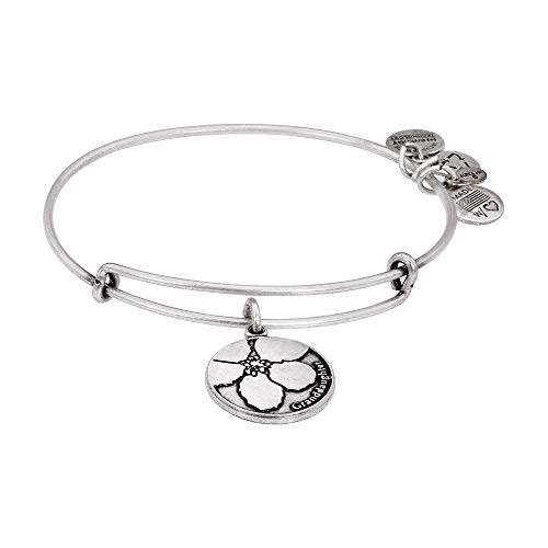 Alex and ANI Granddaughter Charm Rafaelian Silver Bangle Bracelet A13EB07RS
