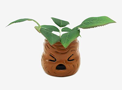 Silver Buffalo Harry Potter Mandrake Face Mini Ceramic Planter Brown  HP2407EH