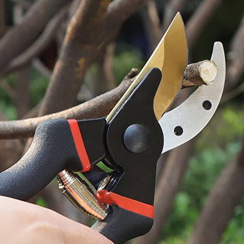 Greensen Garden Pruning Shears, Bypass Pruning Shears, Professional Hand Pruners, Tree Branches Clippers