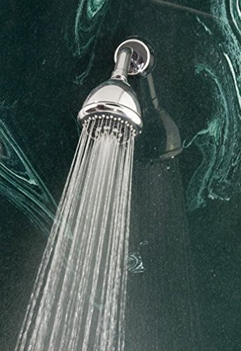 Whedon Products FP74C Rainbo Massage Showerhead, Chrome