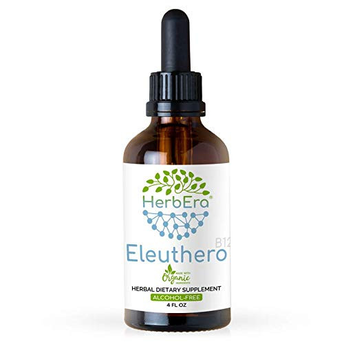 Eleuthero B120 Alcohol-Free Herbal Extract Tincture Super-Concentrated Organic  Eleutherococcus Senticosus Siberian Ginseng  4 fl oz