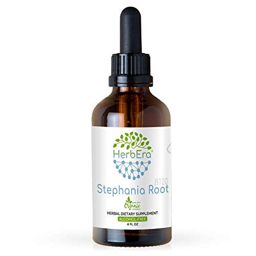 Stephania Root B120 Alcohol-Free Herbal Extract Tincture Wildcrafted Stephania Root  Stephania Tetrandra  Dried Root  4 fl oz