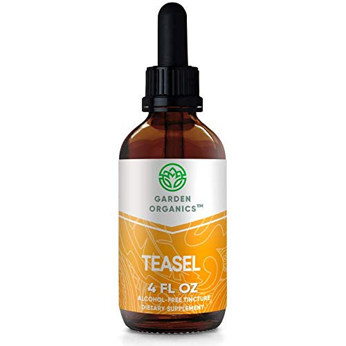 Garden Organics - Teasel Alcohol-Free Extract Organic Teasel  Dipsacus fullonum Dipsacus sylvestris  Dried Root  4 Fl Oz