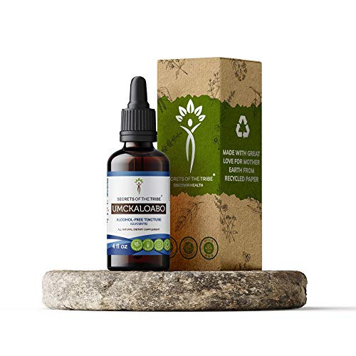 Secrets Of The Tribe - Umckaloabo Tincture Alcohol-Free Extract Wildcrafted Umckaloabo  Pelargonium Sidoides  Dried Root 4 Fl Oz