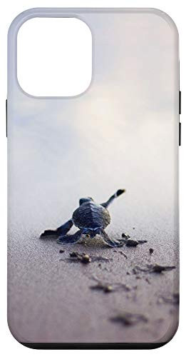 iPhone 12 mini Sea Turtle Skip The Straw Save A Turtle I Like Turtles Ocean Case