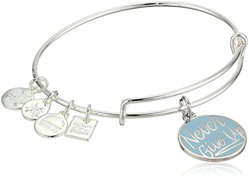 Alex and Ani Womens Never Give Up Charm Bangle Bracelet Shiny Silver Expandable