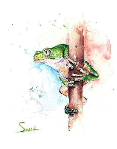 Tree Frog Watercolor Painting Art Print