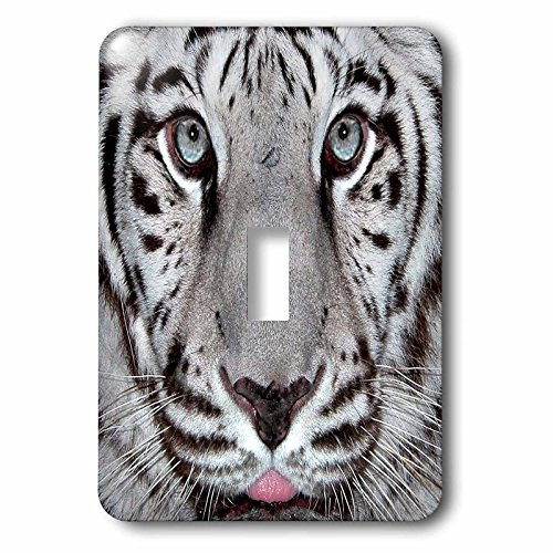 3dRose LSP_62816_1 White Tiger with a Little Tonque Single Toggle Switch