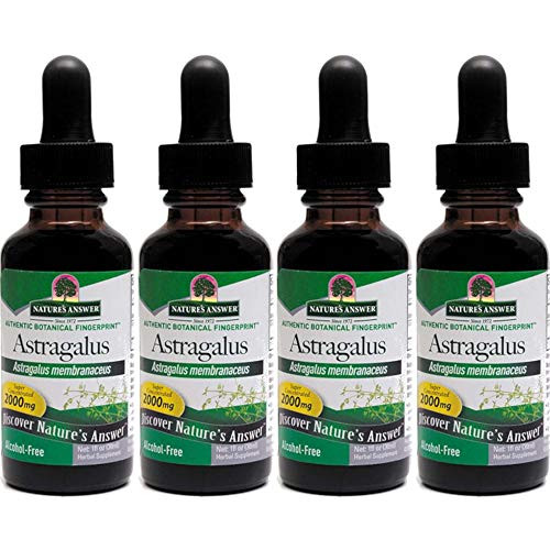 Natures Answer Astragalus Root 1 Ounces each  Value Pack of 4