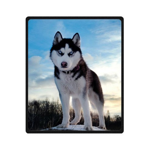 Custom white black husky huskie dogs Super Soft Warm Fleece Throw Blanket 50 inch  x 60 inch   Medium