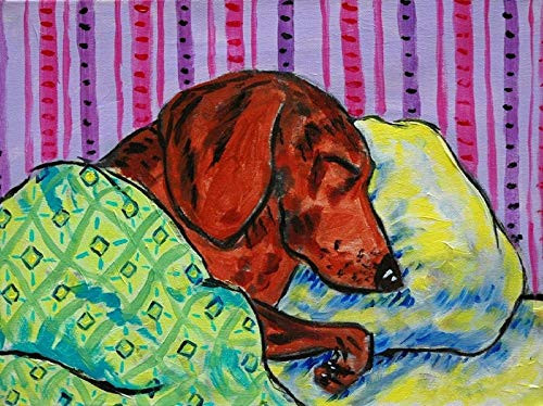 DIY 5D Diamond Painting by Number Kits Sleeping Dachshund Full Drill Round Diamond Crystal Gem Arts Painting Perfect for Home Wall Decor 15.7Inch19.7Inch