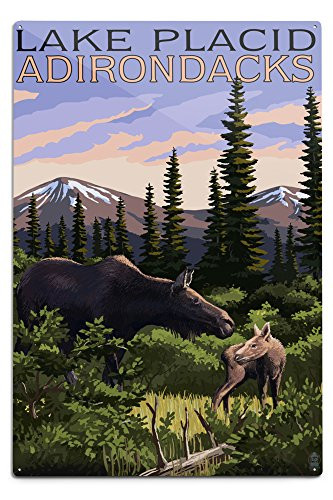Lantern Press Lake Placid New York Moose and Calf  12x18 Aluminum Wall Sign Wall Decor Ready to Hang