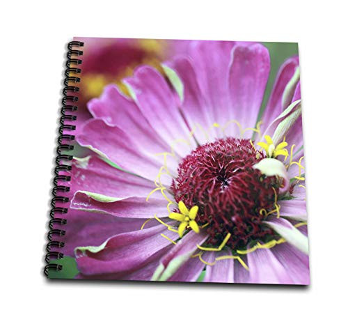 3dRose Macro photograph of a zinnia flower bloomed in a flower garden. - Drawing Books db_327793_1 3dRose Macro photograph of a zinnia flower bloomed in a flower garden. - Drawing Books db_327793_1